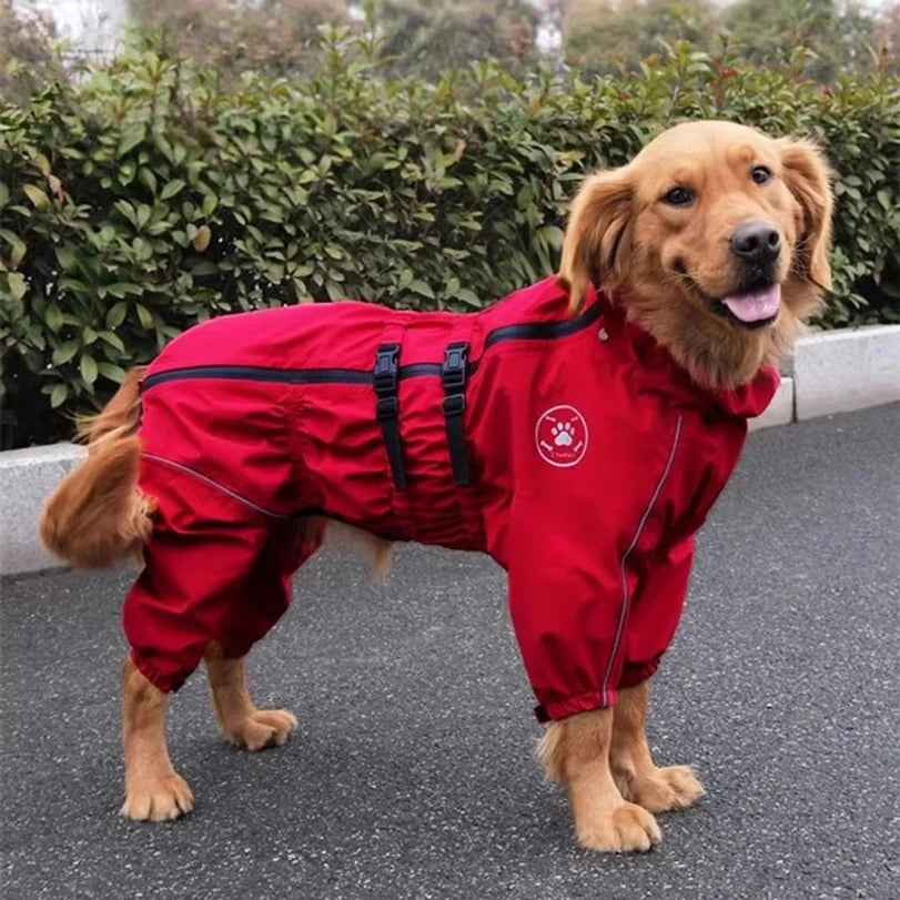 Golden retriever con impermeable Puddly rojo en la calle