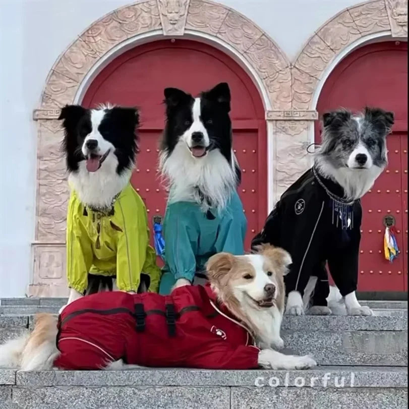 Cuatro perros con impermeables Puddly de colores