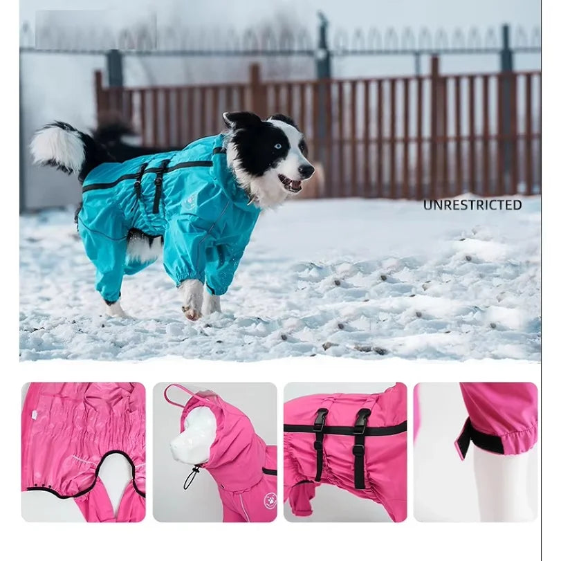 Perro con impermeable Puddly azul en la nieve